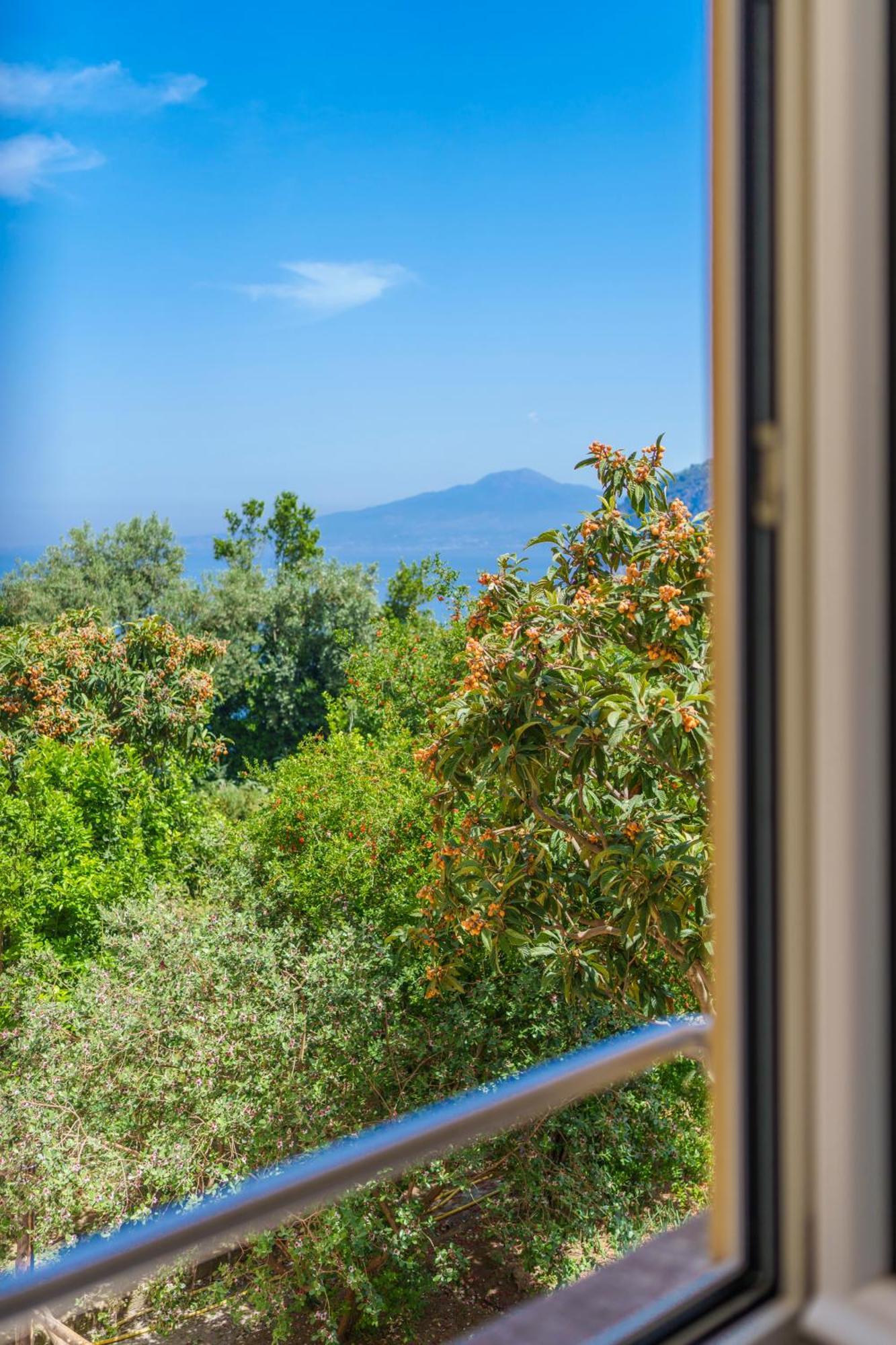 Villa Preziosa Al Pizzo 3 Km Da Sorrento ซานตาเญลโล ภายนอก รูปภาพ